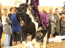 IMG_5363_web